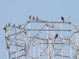 365 Project #207